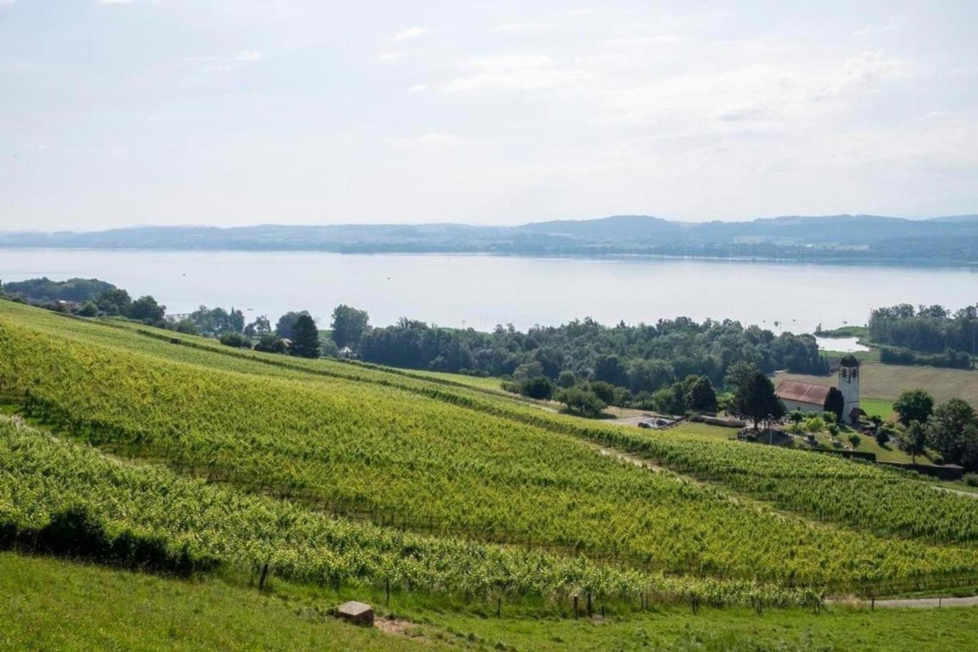 Gaestehaus Mit See- Und Weitblick Villa Vully-les-Lacs Exterior photo